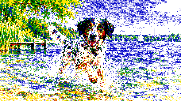 The same picture dithered to the panel's six colours.